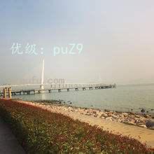 ޿