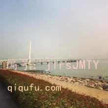 ޿